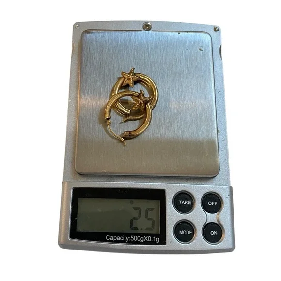 Carla 14K Yellow Gold Sea Star Starfish Hoop Earrings 2.5g